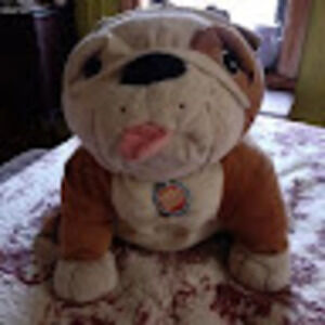 Meet your Posher, Evie